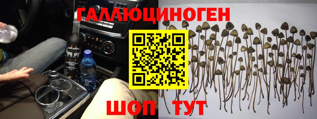 Галлюциногенные грибы мицелий  Вход с VPN  Рыбинск 